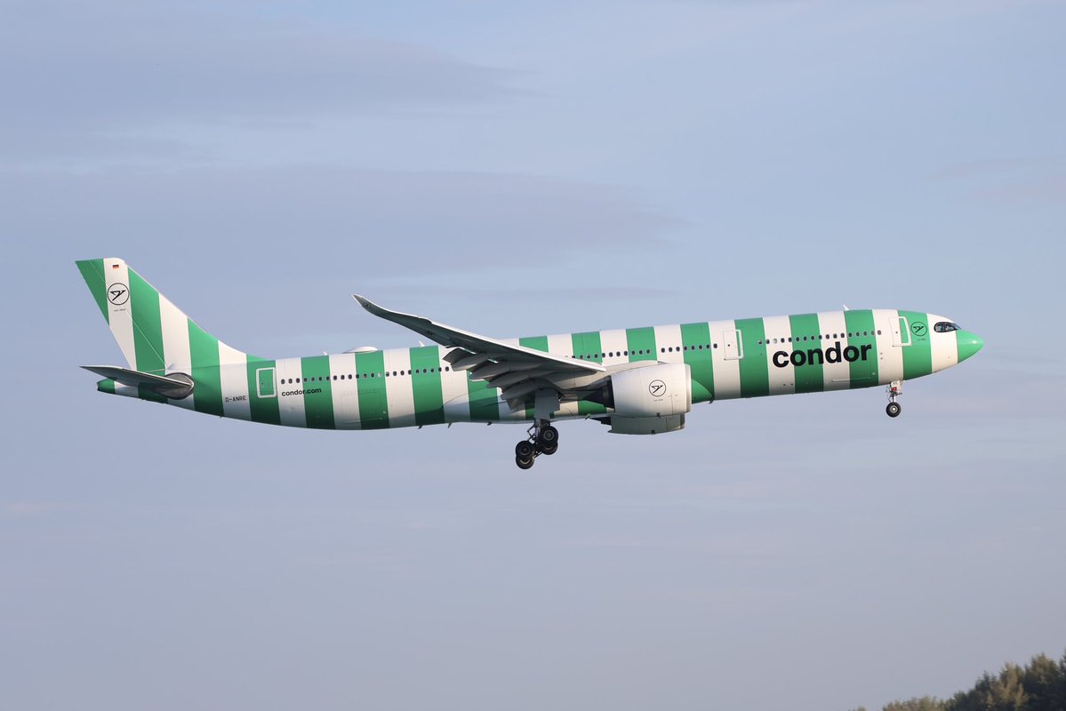 NKMNGO's tweet photo. #A330からしか得られない栄養素 
忖度無しで好きな330
あ、5Jは神格化してるのでノーカンです☺️ https://t.co/7cToX0uB0P
