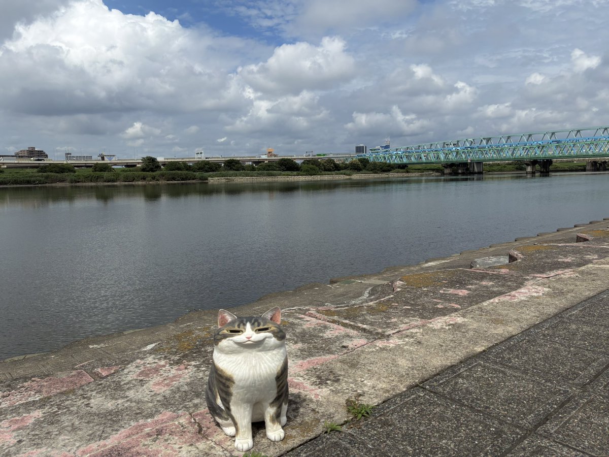 KarinHosono's tweet photo. 荒川 https://t.co/VulgKvnm5v