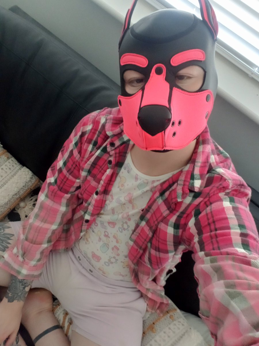 Lexigoesruff's tweet photo. Ruff https://t.co/VrGytKdZvj