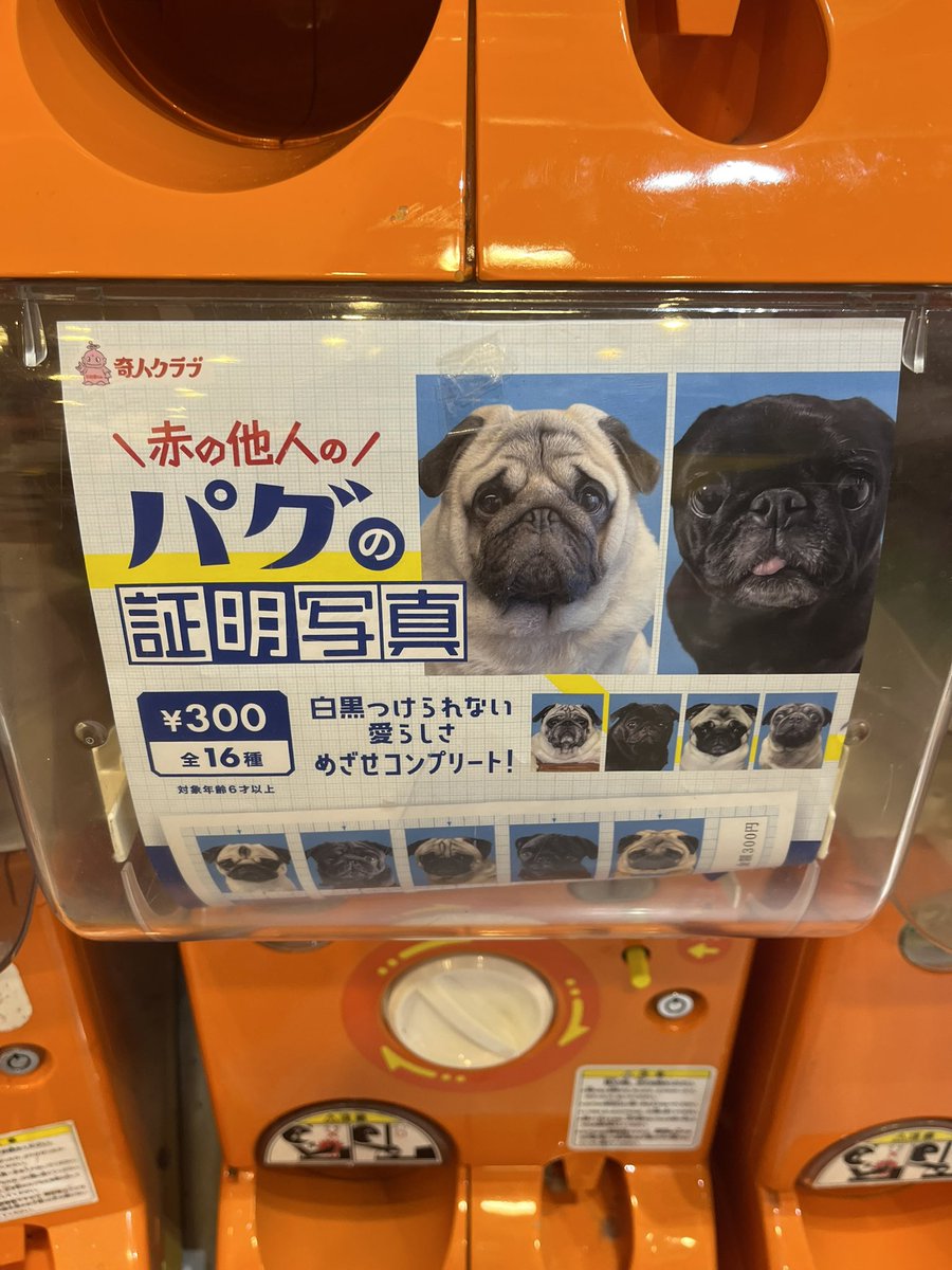 やっと見つけた‼️