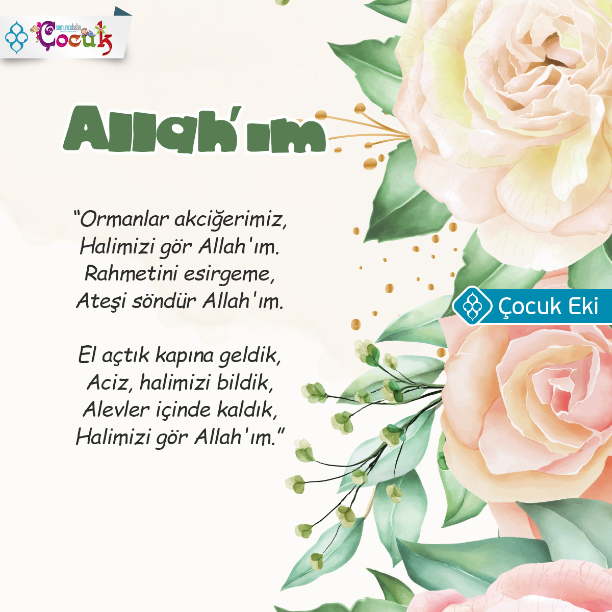 SomuncuBabaDrg's tweet photo. ❝Allah'ım❞

🔹 308. Sayı / Rabia BARIŞ

❝Ormanlar akciğerimiz,
Halimizi gör Allah'ım.
Rahmetini esirgeme,
Ateşi söndür Allah'ım.❞

🔹 Oku⤵
https://t.co/JC5wpR9TiI

#SomuncuBabaDergisi #somuncubaba #edergi https://t.co/nNo4WN82mC