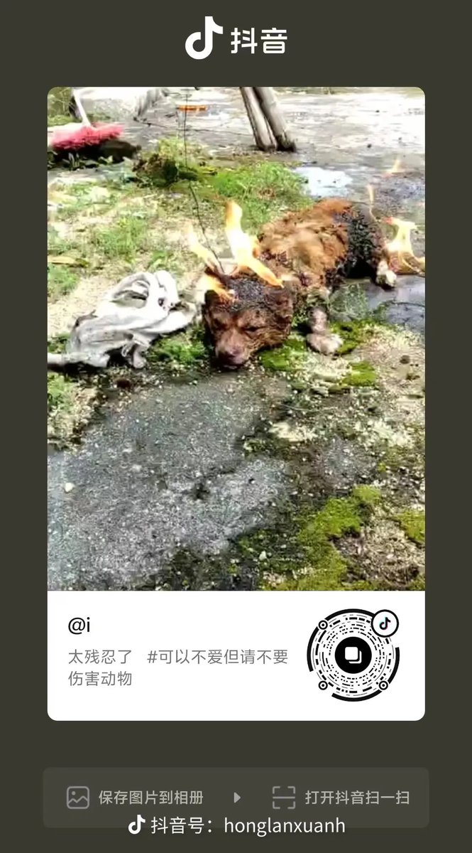 current0411's tweet photo. Jieyang, Guangdong, China. In Pingpu Village, Xinheng Town, several minors were filmed beating a mother dog and her four puppies, then burning them alive. Four babies and their mother died in terror. Don’t let this disappear into silence.#AnimalCruelty #china https://t.co/Gkq2U8bRxS