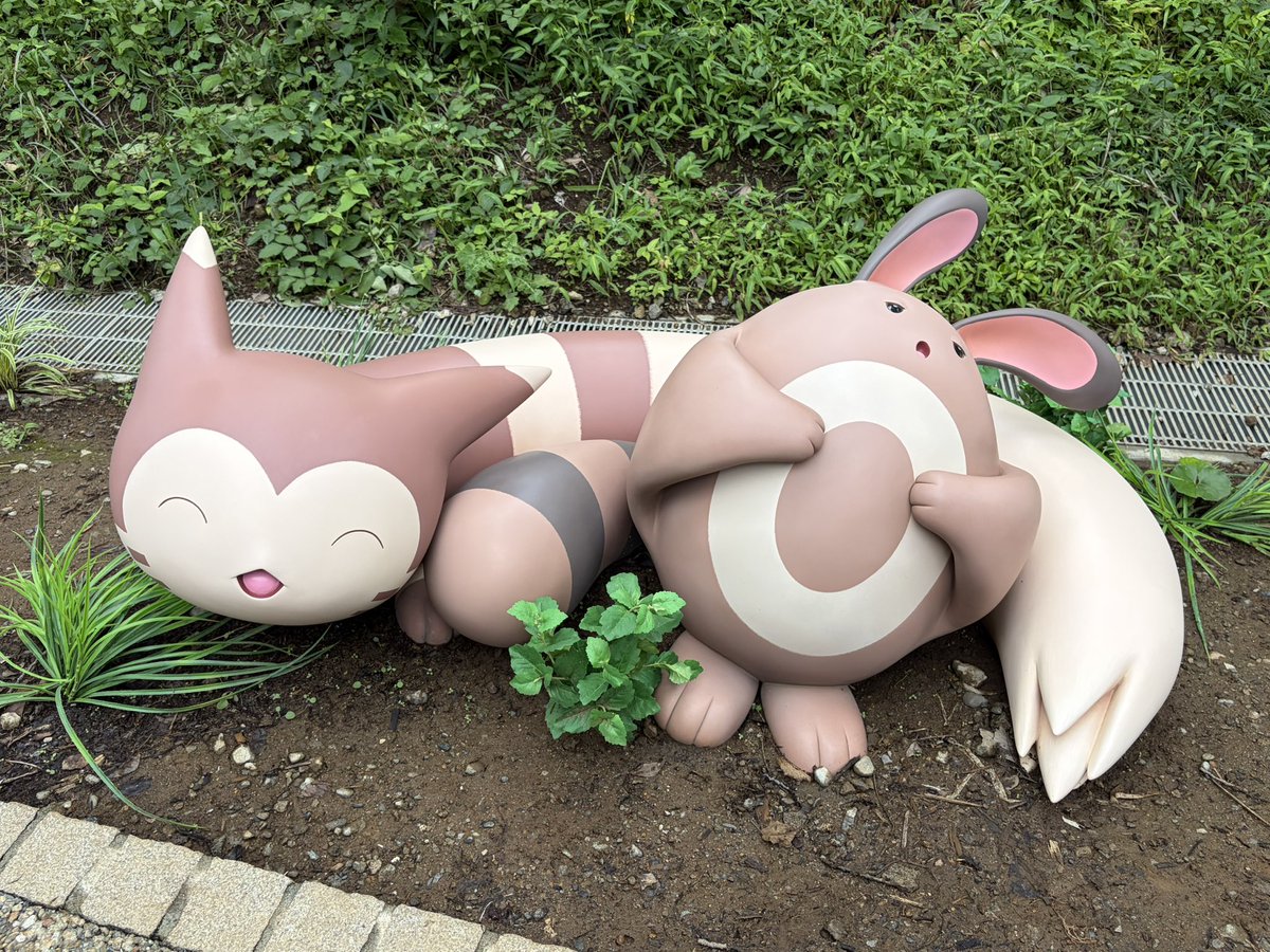 teroli0220's tweet photo. ポケパークめちゃ楽しかった https://t.co/l7YVYtxiyQ