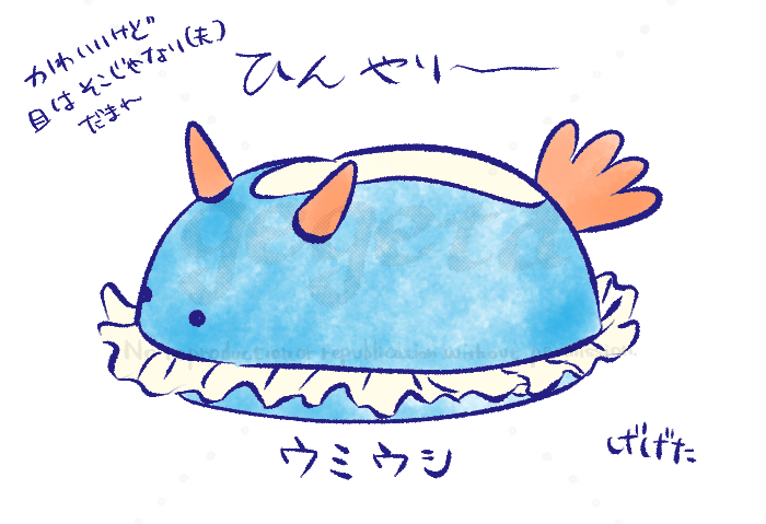 gegeta7's tweet photo. #ニトリ　のNクールぬいぐるみ
買いました https://t.co/i0IhVsOj1W
