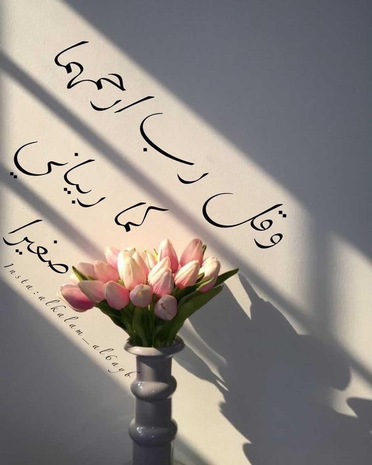VelvetRain10's tweet photo. #طَيَّبَ_اللهُ_البقاء_عَمَّرَ_اللهُ_الْأَثَر
#وَرْدٌّ https://t.co/cxoNJxKDtb