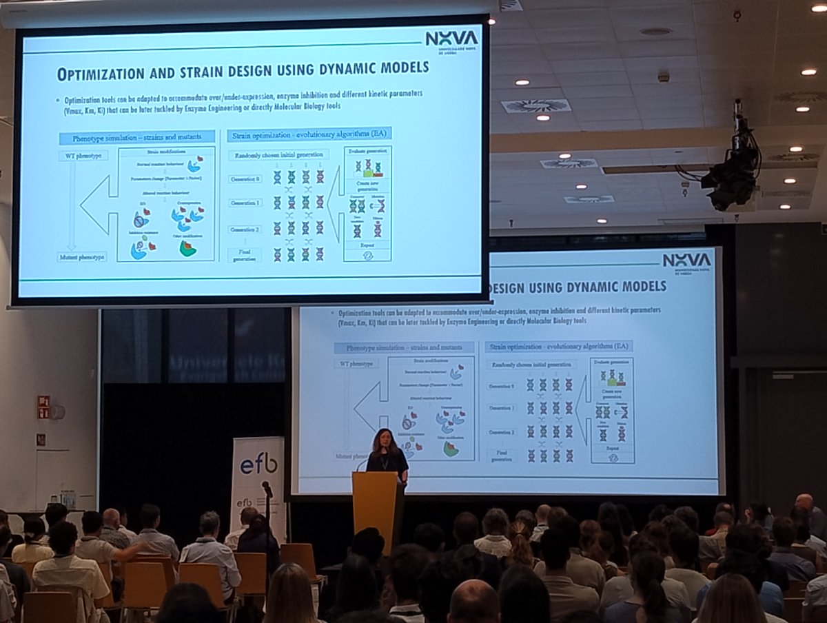 EFBiotechnology's tweet photo. ๐ด Monday morning at #ECB2026 featured 4 on antibody medicines, #phytoremediation, systems #biology, and plant drought tolerance:
๐งฌ Stefan Schmidt, #Evitria
๐ฑ Helena Freitas, @UnivdeCoimbra
๐ฆ Isabel Rocha, @itqbnova
๐พ @BalazadehSalma, @uniGoettingen
#Biotechnology https://t.co/b1zXZR3m9P