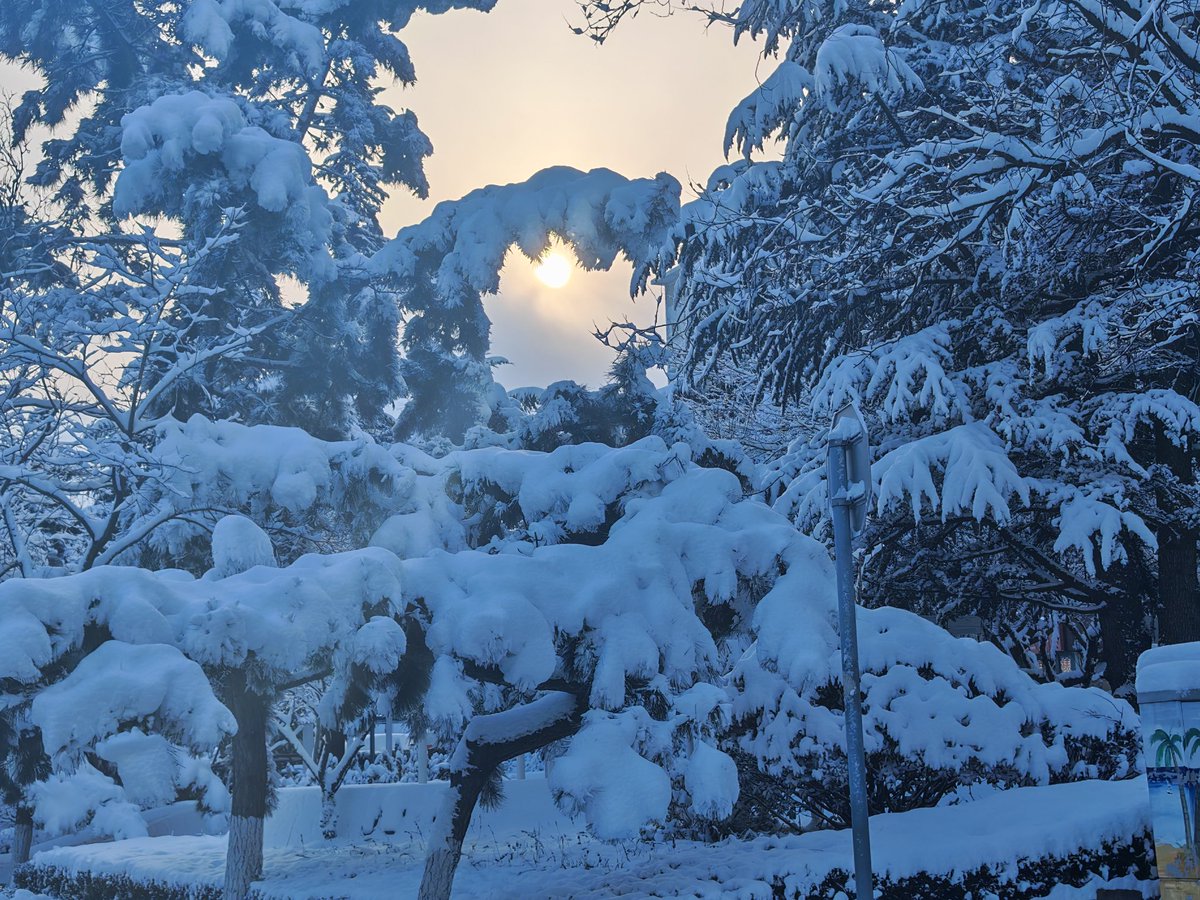 xiaozuier's tweet photo. 怀念的依旧是威海下雪❄️的日子
#威海 https://t.co/QXqbCkQS63