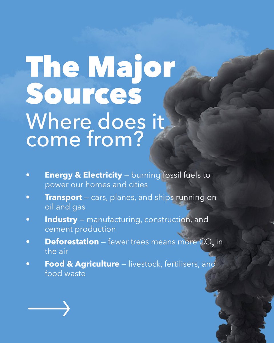 TPHG_Tech's tweet photo. Our daily actions contribute to greenhouse gas emissions, and this impact is known as our carbon footprint. 

Understanding your carbon footprint is the first step toward making informed decisions that support a more sustainable future.

#carbonfootprint #tphg #sustainability https://t.co/ZzX1w1PLQQ