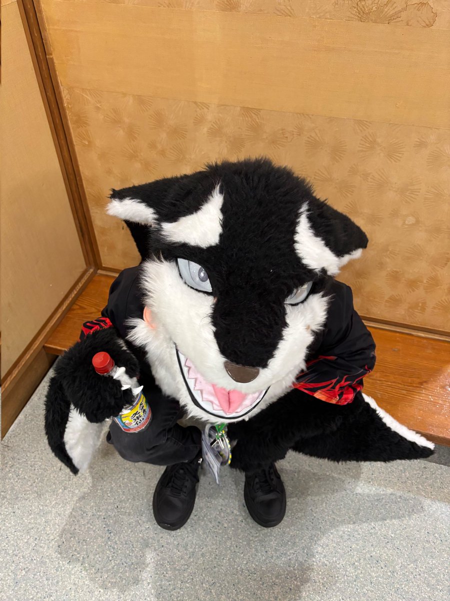 nami_ziro's tweet photo. #FursuitEverday https://t.co/P440d4WnoW