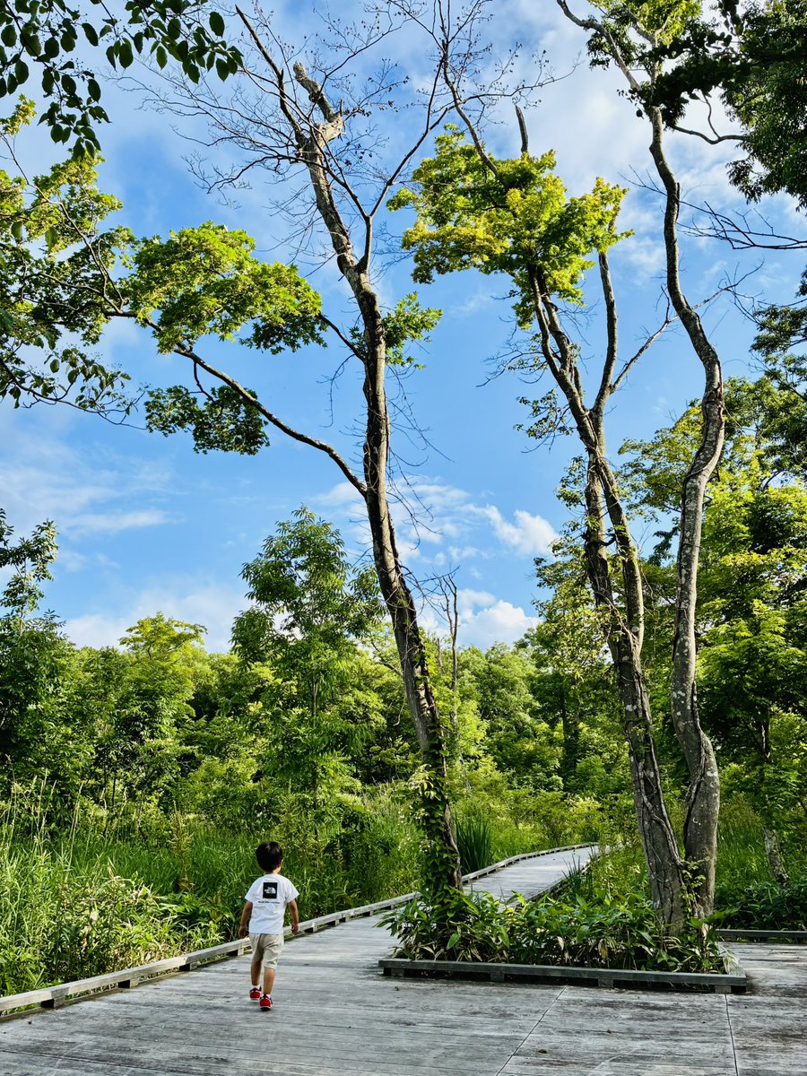KONY11141's tweet photo. さんぽ〜🌳🚶‍➡️ https://t.co/bYrE4VxYmj