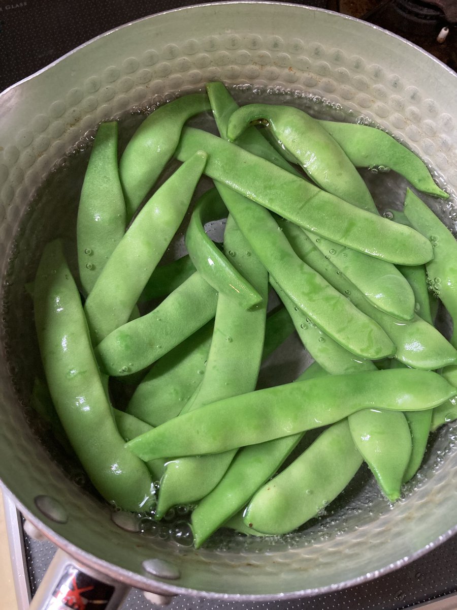 Relux365's tweet photo. 散歩の家庭菜園
呼び名は色々
散歩のまわりでは
ジユウロク
モロッコインゲン
なんて言ってます
茹でる　炒める
煮る　天ぷら　
フライ　何でもござれ
あまり大きくしなければ
揉まなくても　緑が綺麗に
出て柔らかいですよ
茹でるなら
２分半ぐらいかな〜
#家庭菜園
#インゲン料理 https://t.co/6V2WktUEda