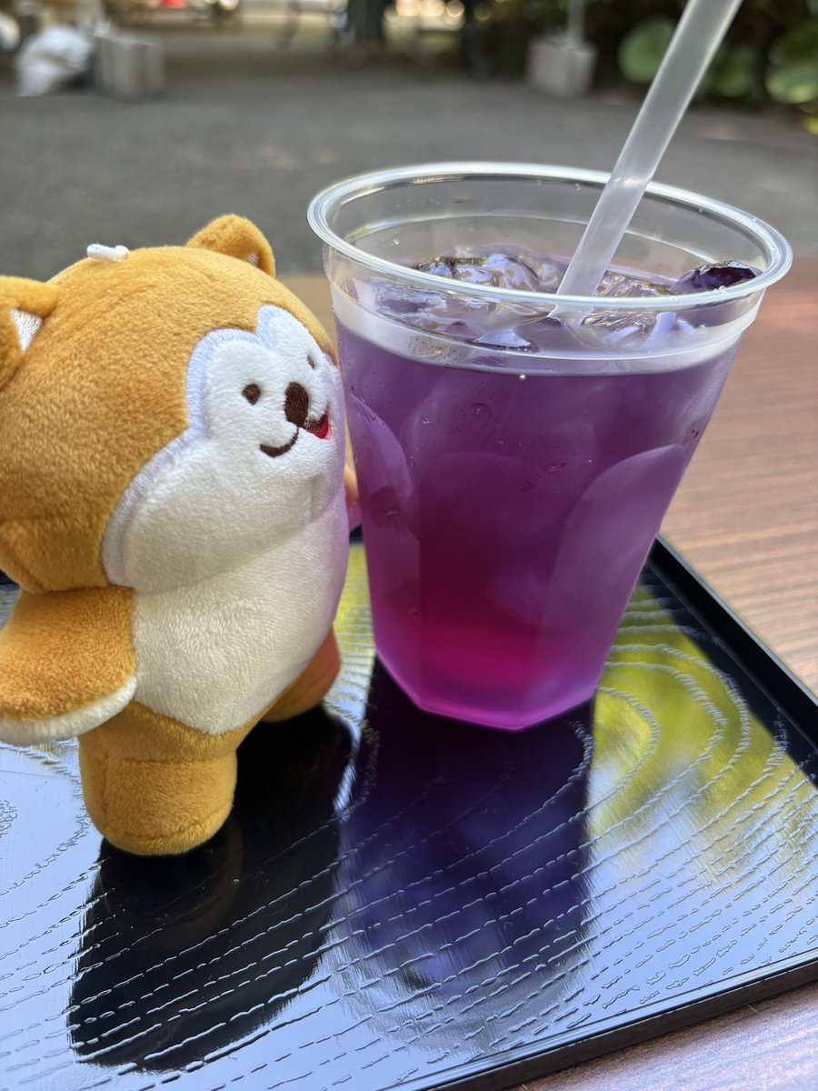 青リンゴポシェットを下げたアライグマさん 極楽青土”へようこそ💙男鹿・雲昌寺あじさい絶景さんぽ／ こんにちワン