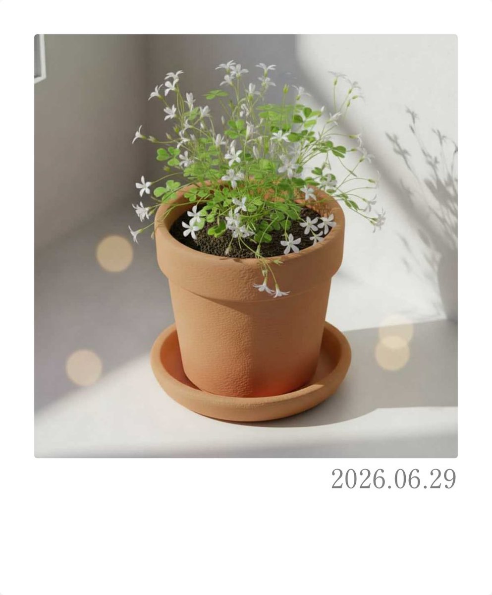 mio_spr's tweet photo. #PixelPot
ハゴロモジャスミンが育ったよ！ https://t.co/M59dFZJB5d