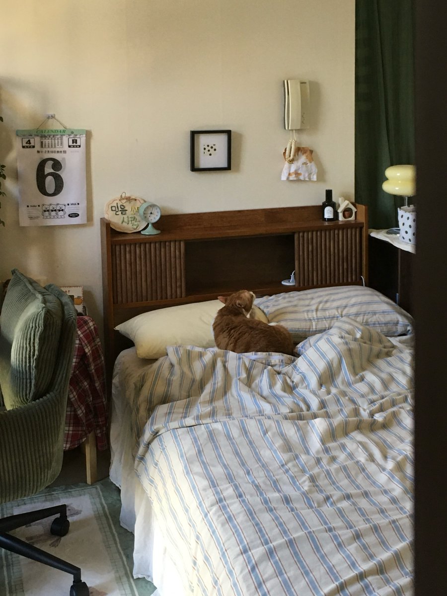 interiorsuckerr's tweet photo. https://t.co/lBk27V7LiM