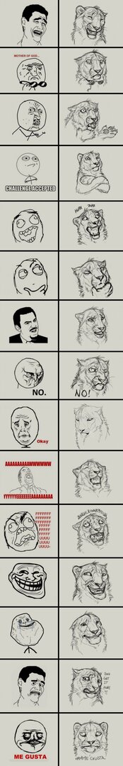 tetonnifer's tweet photo. RSS HUB humorblack

MemeLeón #humornegro #humor #memes https://t.co/8S2MOyrFBd