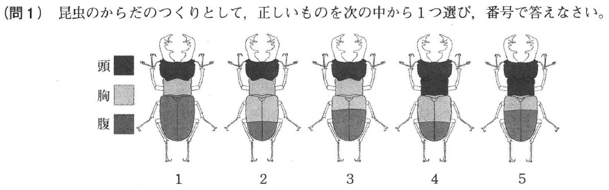 alpha_jikken's tweet photo. 「頭・胸・腹を正しく色分けしているのはどれ？」
慶應義塾湘南藤沢中等部の入試問題

学校はなぜこの入試問題を出したのでしょうか？
どのような子どもに入学してほしかったのでしょうか？

正解は１ではありませんよ。 https://t.co/uS9Xnqgv1Q