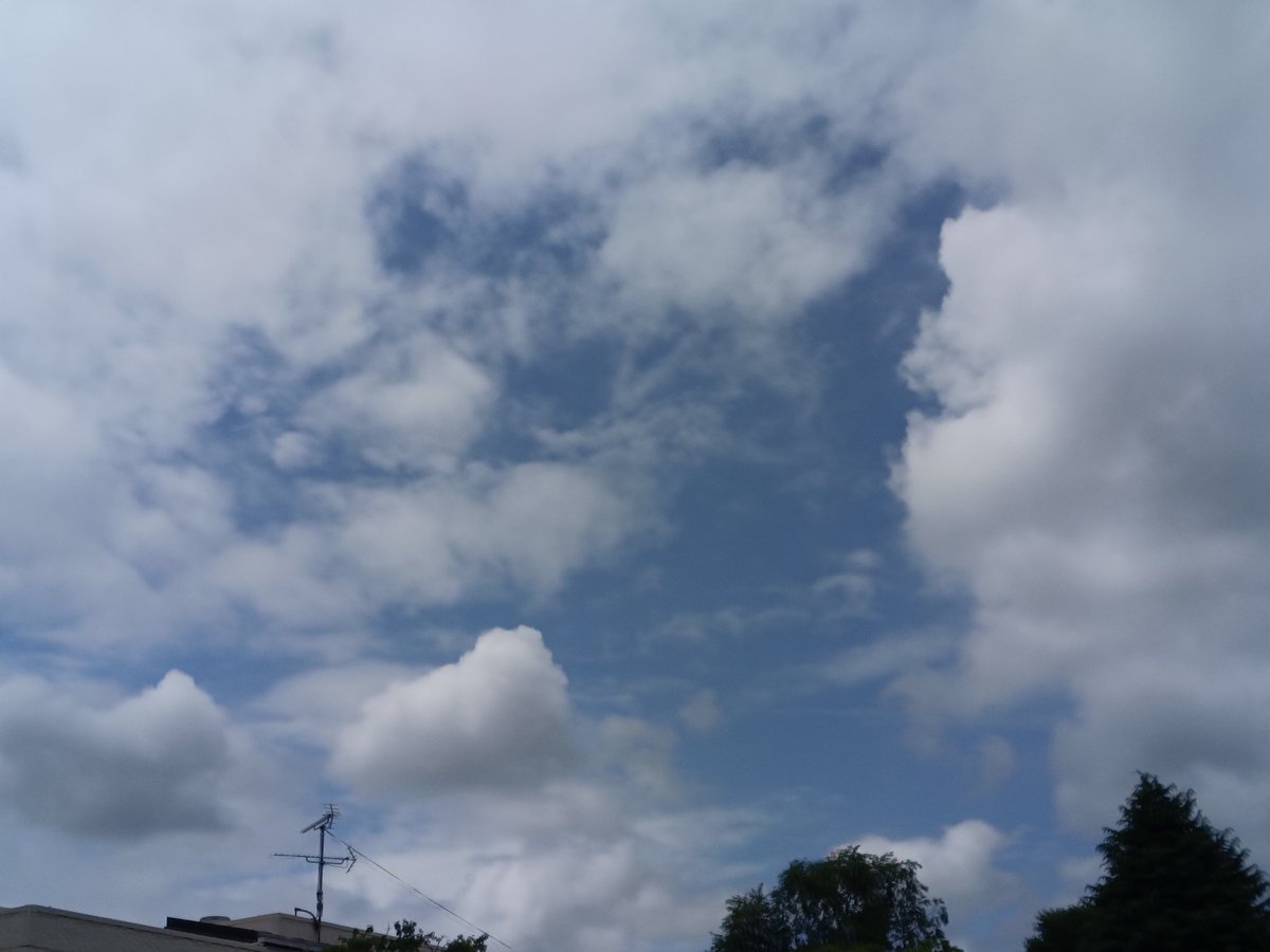 OKawauna's tweet photo. 梅雨らしく蒸し暑いん(  ᵔ^ᵔ꧞)ｳｰﾝ
私的には穏やかな月曜日を過ごしてますねぇ。でも仕事なんですけど😂
午後もなるべくゆるふぁいです(o-´ω｀-)ｳﾑｳﾑ
先週のひまわり🌻みんな咲いてましたー！ https://t.co/SyMKE1VilD