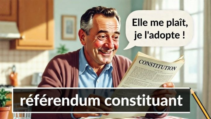 PascalMV's tweet photo. Si nous voulons avoir un #RIC et pouvoir faire un #FREXIT, nous devrons adopter une nouvelle Constitution en usant du pouvoir constituant originaire. https://t.co/XyvrLog9pB