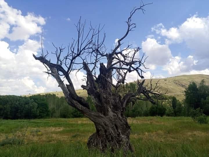 nidayisevim's tweet photo. "Bî-vefâdır dâr-ı dünya, kimseyi şâd eylemez."

| Fuzûlî https://t.co/vlWpyVVdd4