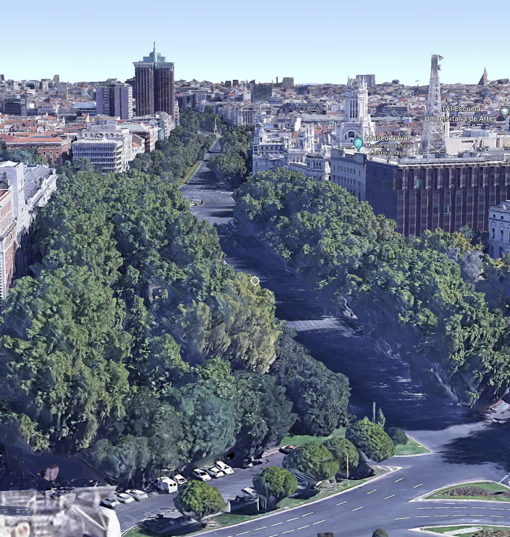pkas1111's tweet photo. Quisieron talar toda la arboleda de la margen izquierda del Paseo del Prado frente al Museo Thyssen. Pero el terruño de cientos de años, afloró en Madrid a través de movimientos en defensa del árbol y de la varonesa Tita Cervera, entre otros. Les dejo la arboleda hoy, y en 1650 https://t.co/xVfYqLa1RM