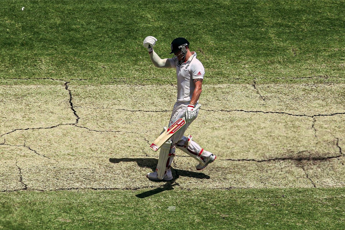 Cricket Picture that Goes Hard tweet media