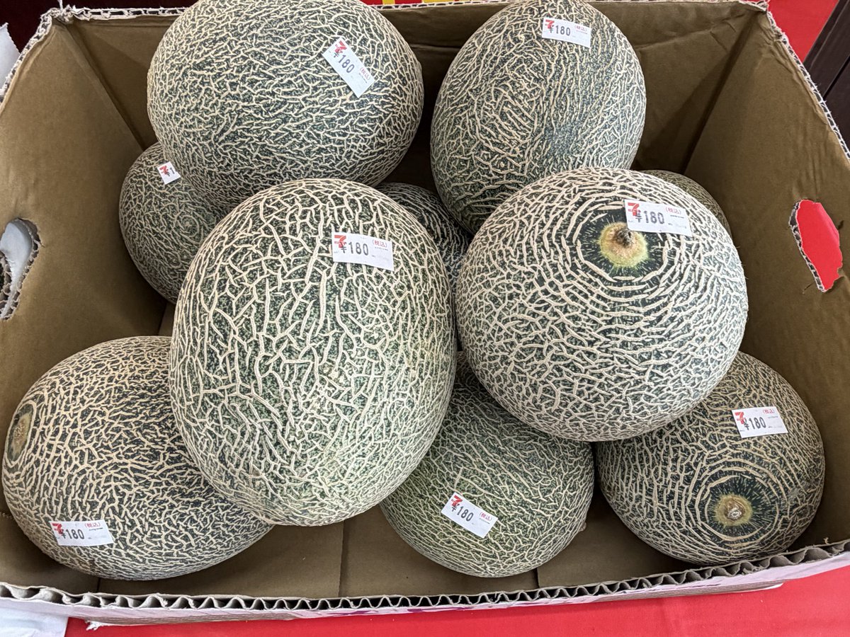 kukizaki711's tweet photo. Mサイズたかみメロン
18玉限定なので、180円(税込)💦 https://t.co/lNNNshfe7i