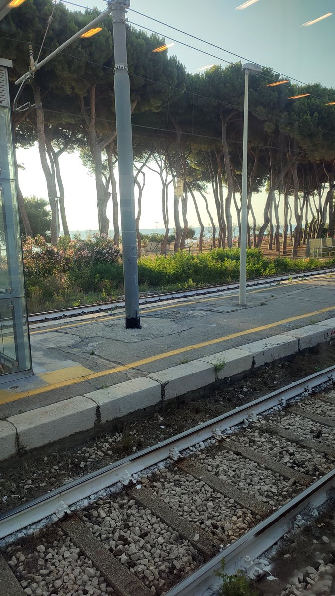 AndreSmith841's tweet photo. Taking this train to work every day is so much easier when the commute includes a landscape like this. The magic of the Pineta di Pineto(Italy). 💚🚆
#Pineto #Abruzzo #CommuterLife #DailyCommute #TrainView #Nature #AbruzzoTourism #GoodMorning https://t.co/zRQRMsKHAr