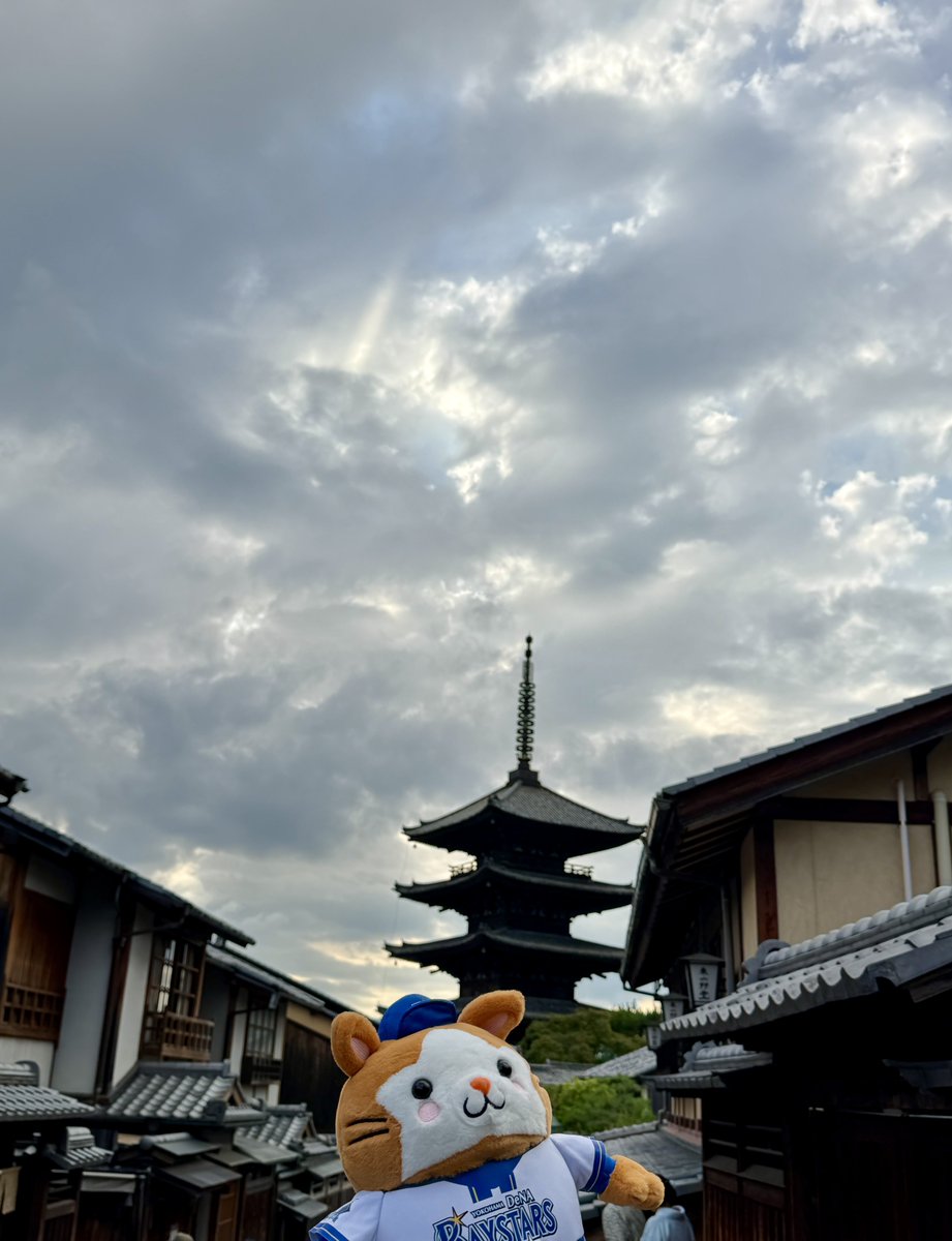 ydb_yokohama's tweet photo. #野球未来創造SERIES 
#YDB15th 
#ぬい活 #ぬい撮り 
#baystars https://t.co/1CnepisjgB
