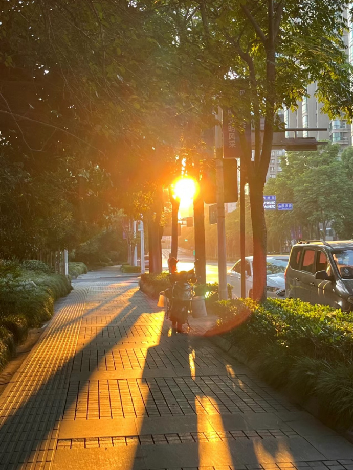Mirrox1389's tweet photo. New to photography Start with mastering natural light—watch how soft morning glow transforms a simple street scene! https://t.co/oiaD0LbrWn