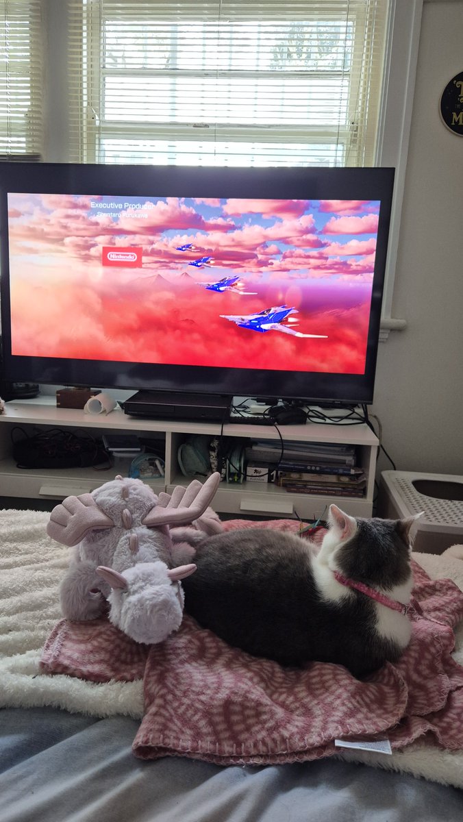 PaldeanMewtwo's tweet photo. Chill day off https://t.co/aROMfNTsuv