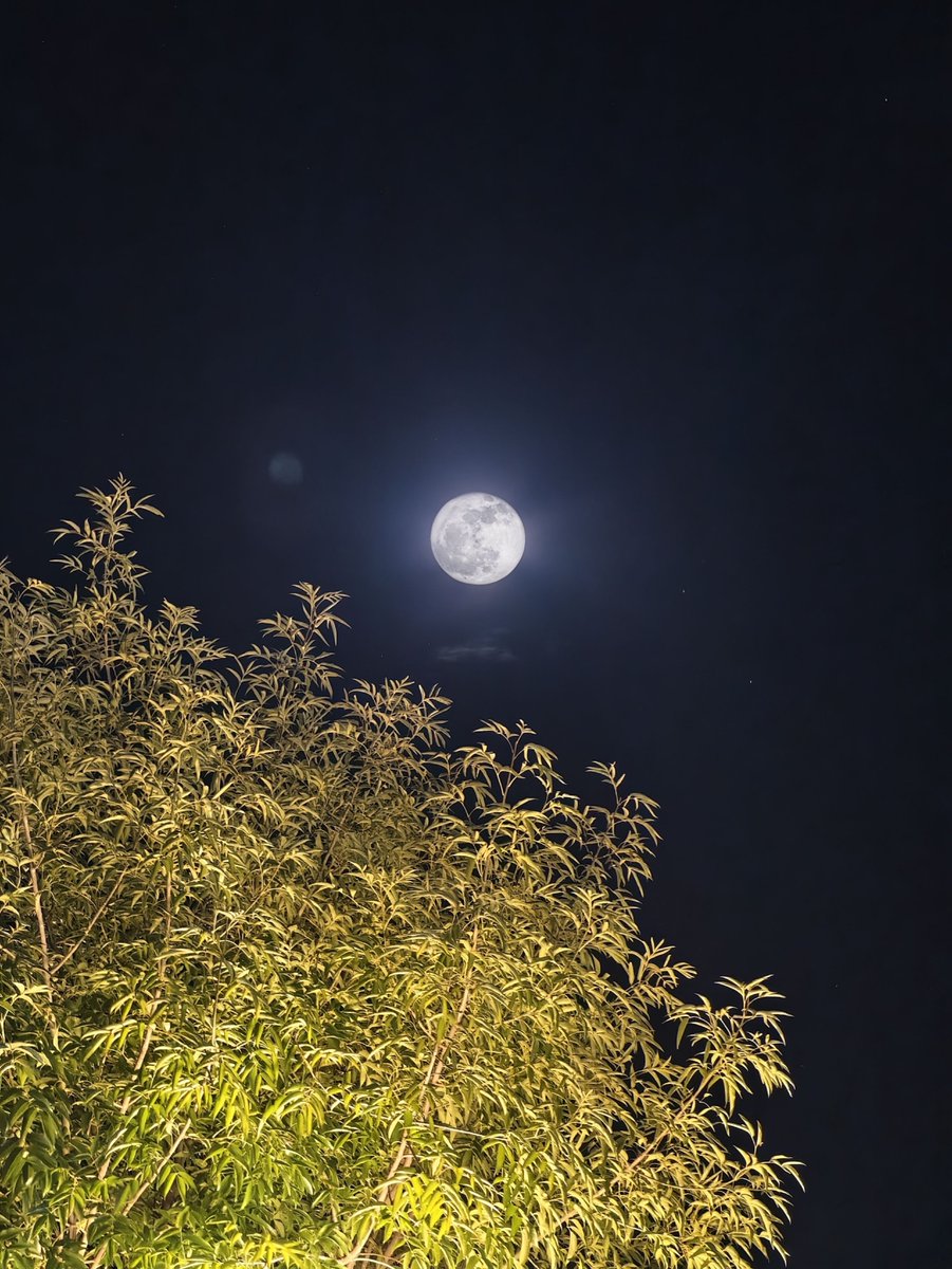 omarreyesmx's tweet photo. Una noche de luna en #Zacatecas. https://t.co/5LmwMMr7mB