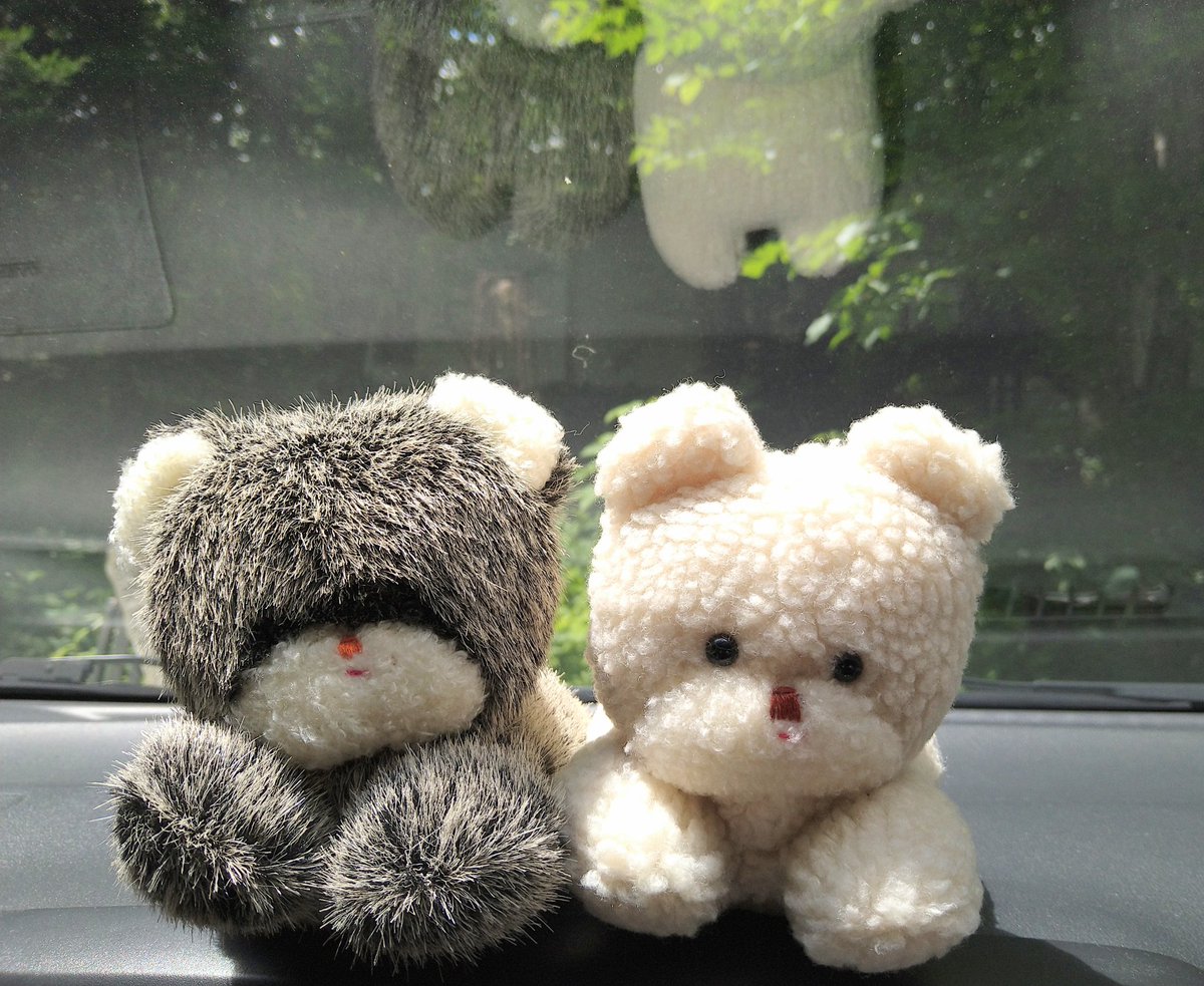 14310Bandana's tweet photo. ミシシッピ白くま
ミシシッピ黒くま

休憩中🚗

ミシシッピぬいぐるみ
 @misisippinui https://t.co/nu4PMCKcQ2