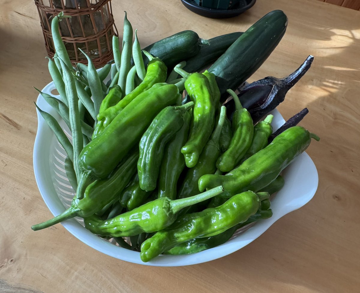 anyaka___'s tweet photo. 「おかえりー！野菜いる？」と近所のおじいちゃんからいただいた野菜たち。お庭で採れるよりいただく方が多い😂
野菜もうれしいし、畑できるくらい元気でいてくれるのもうれしいよね◎ https://t.co/iu4yKhqx00