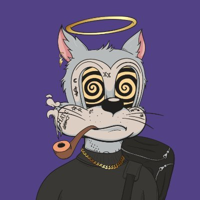 NakaColyn's tweet photo. gm friends 🚀🤘Rock this monday w me!

@DegenToonz 🫡 https://t.co/WShIv2iPtZ