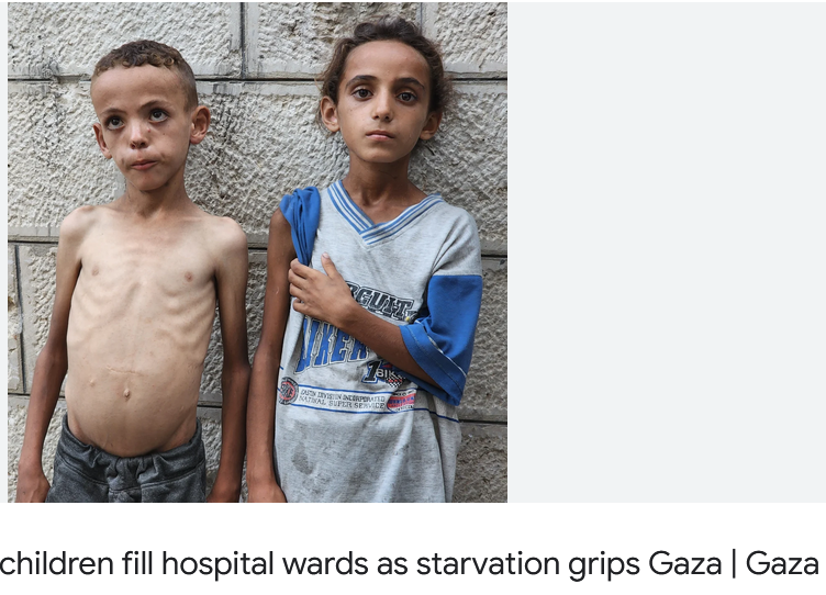 Kate Emerson 🇵🇸 🔻🍉 tweet media