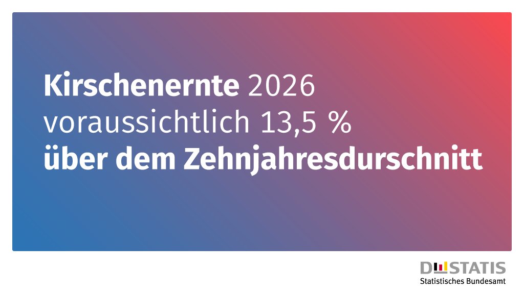 destatis's tweet photo. Die Obstbaubetriebe erwarten eine höhere #Kirschen|ernte als im Durchschnitt der vergangenen zehn Jahre (+13,5 %). Sie gehen für 2026 von einer Gesamterntemenge für Süß- und Sauerkirschen von rund 51 100 Tonnen aus, 8,5 % mehr als im Vorjahr. Mehr dazu: https://t.co/CmRiq85Tnn https://t.co/smjzg8yDKC
