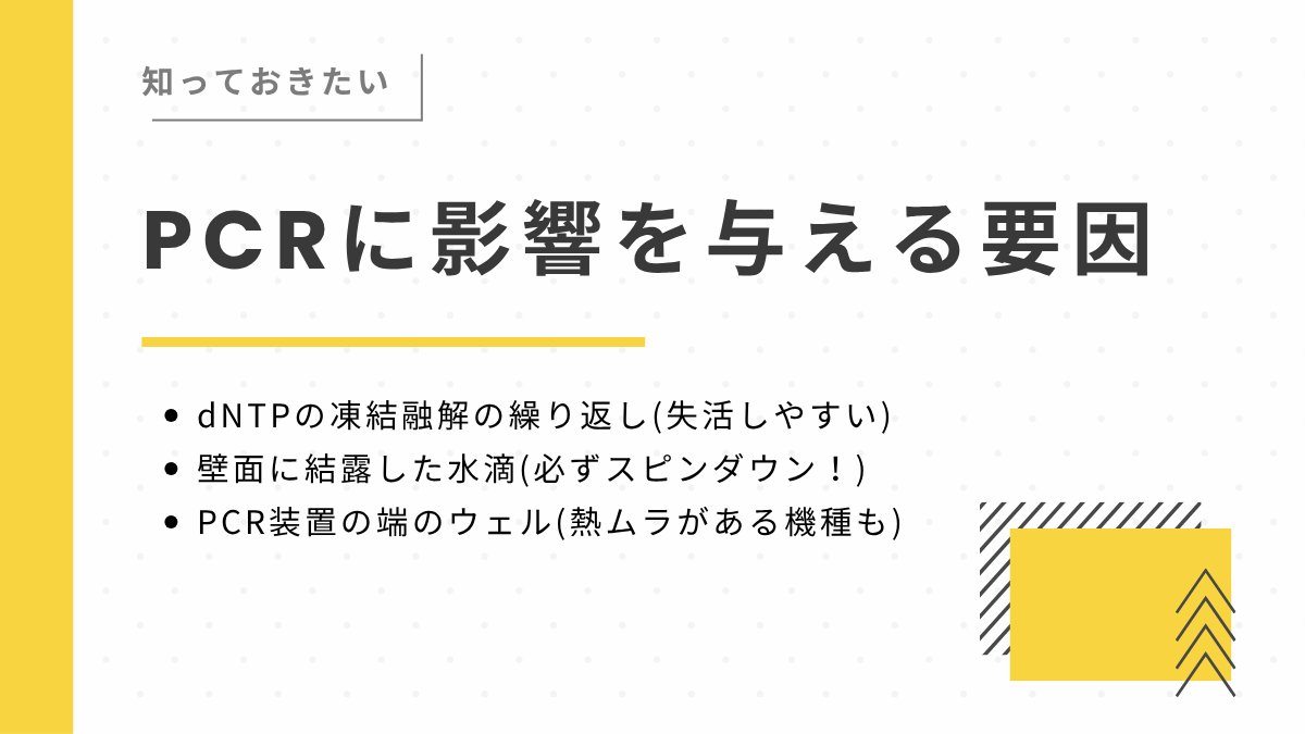 Labchem_Wako_JP's tweet photo. 「昨日までPCRが上手くいっていたのに、急にバンドが出なくなった…」
そんな時に疑うべきチェックリスト

1️⃣ dNTPの凍結融解の繰り返し(失活しやすい)
2️⃣ 壁面に結露した水滴(必ずスピンダウン！)
3️⃣ PCR装置の端のウェル(熱ムラがある機種も)

その他の要因はこちら👇
https://t.co/1Zq2hiEnHS https://t.co/l3kcB7gUbs