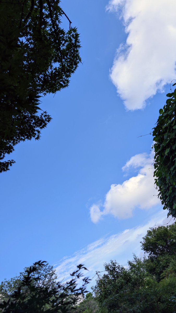 h_quest's tweet photo. #イマソラ 
 久々晴れた☀ https://t.co/zeSkq2M2XJ