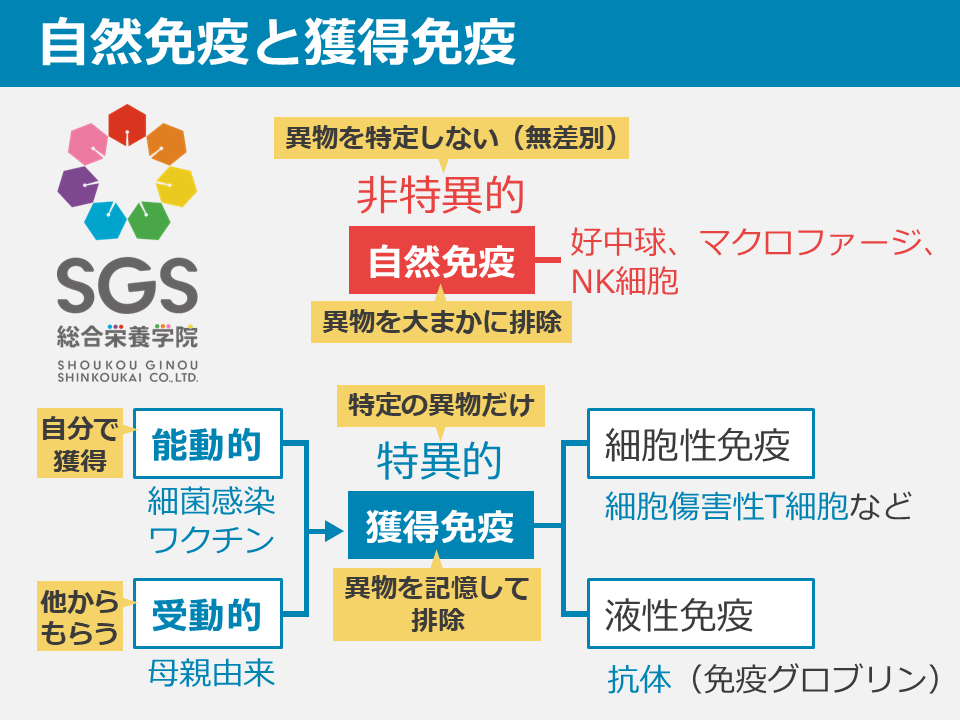 何かとややこしい『○○免疫』系の用語はこの画像のように整理してみる 何かとややこしい『○○免疫』系の用語はこの画像のように整理してみる
