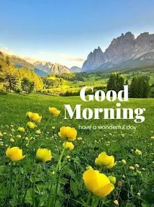 UzorStevenson's tweet photo. Good Morning ☀️
“A new day is God’s quiet reminder that His mercies are new every morning.
Not because we deserve it, but because He is faithful.
What are you grateful for today? 🙏
#MorningReflection #Faith #Theafricandream #Gratitude https://t.co/NXgVZ4znZy