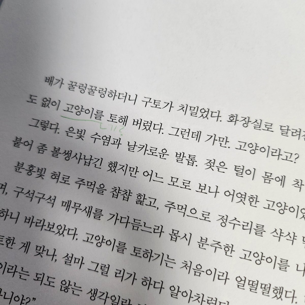 toyoring00's tweet photo. 500년 넘게 학교를 다니면 어떤 기분일까?

최상희 작가님의 신작
《내성적인 뱀파이어》를 읽었어요!

청소년 장편 소설은 많이 봤지만, 단편집은 별로 읽어본 적이 없어서 더욱 두근거렸습니다 ///

첫 단편 소설부터 주인공이 고양이를 토하는데요 https://t.co/jqwSpVTQPC