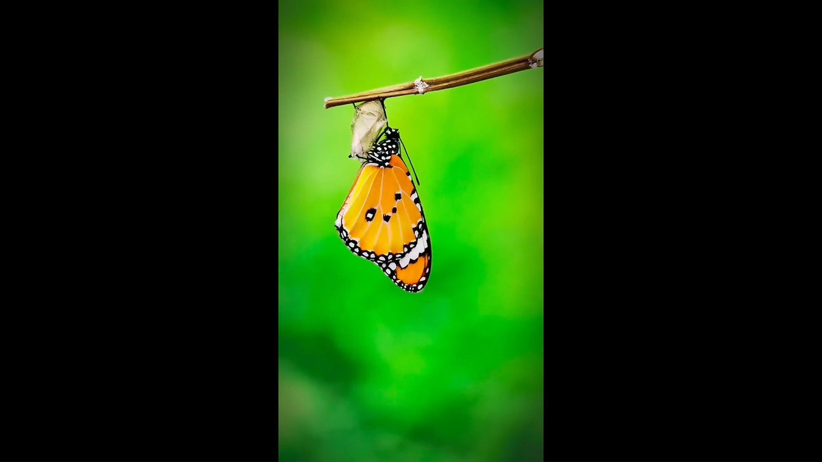 jason94030348's tweet photo. Grow through what you go through—some storms don’t break you, they teach you to sail steady. ， https://t.co/NBNoEe7YEf
