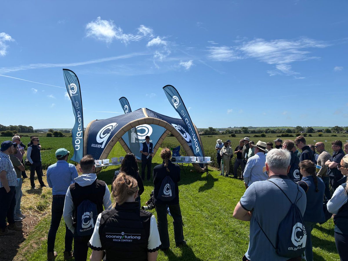 Goldcrop's tweet photo. Dave Barry giving an update on cover crop options for 2026, also highlighting the importance of the @IrishSeedTrade Higher Voluntary Standard (HVS) being implemented by @agriculture_ie  to ensure the highest quality and purity of all our ingredients being used in mixtures for sale to Irish growers.