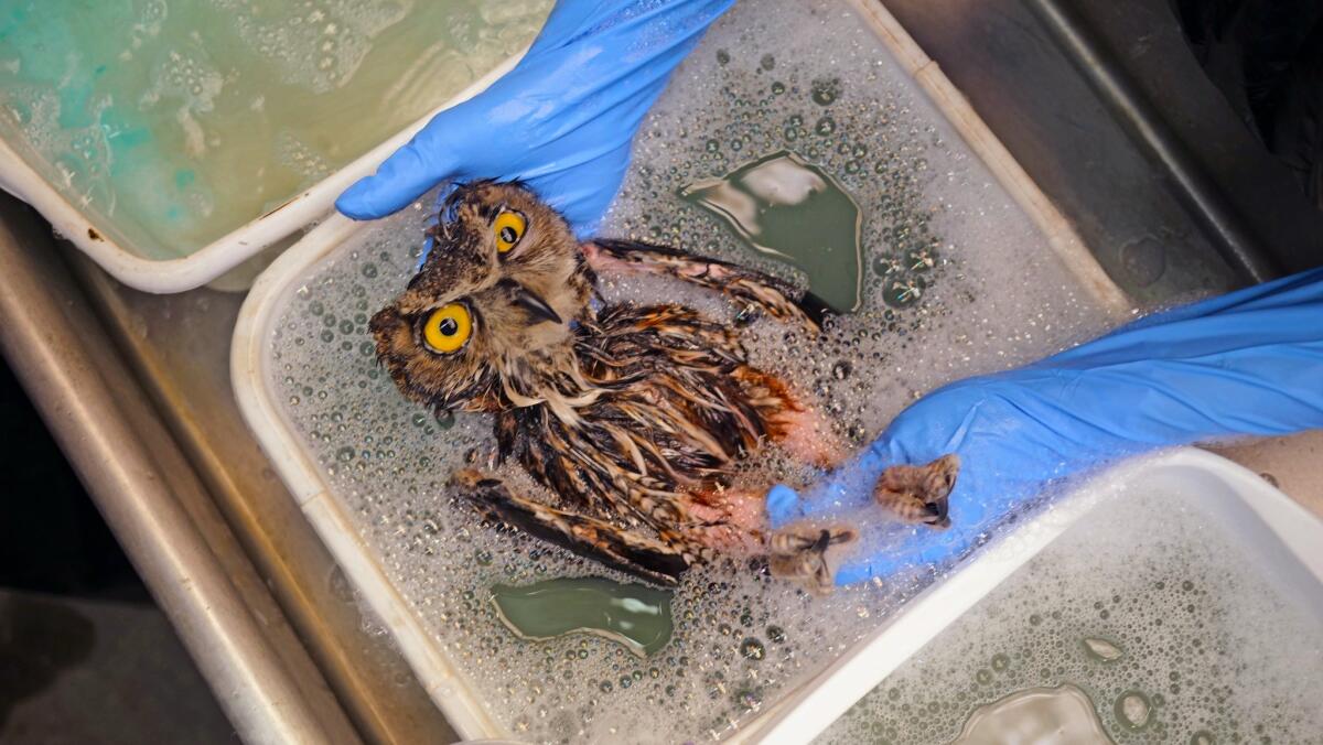 Give A Shit About Nature tweet media