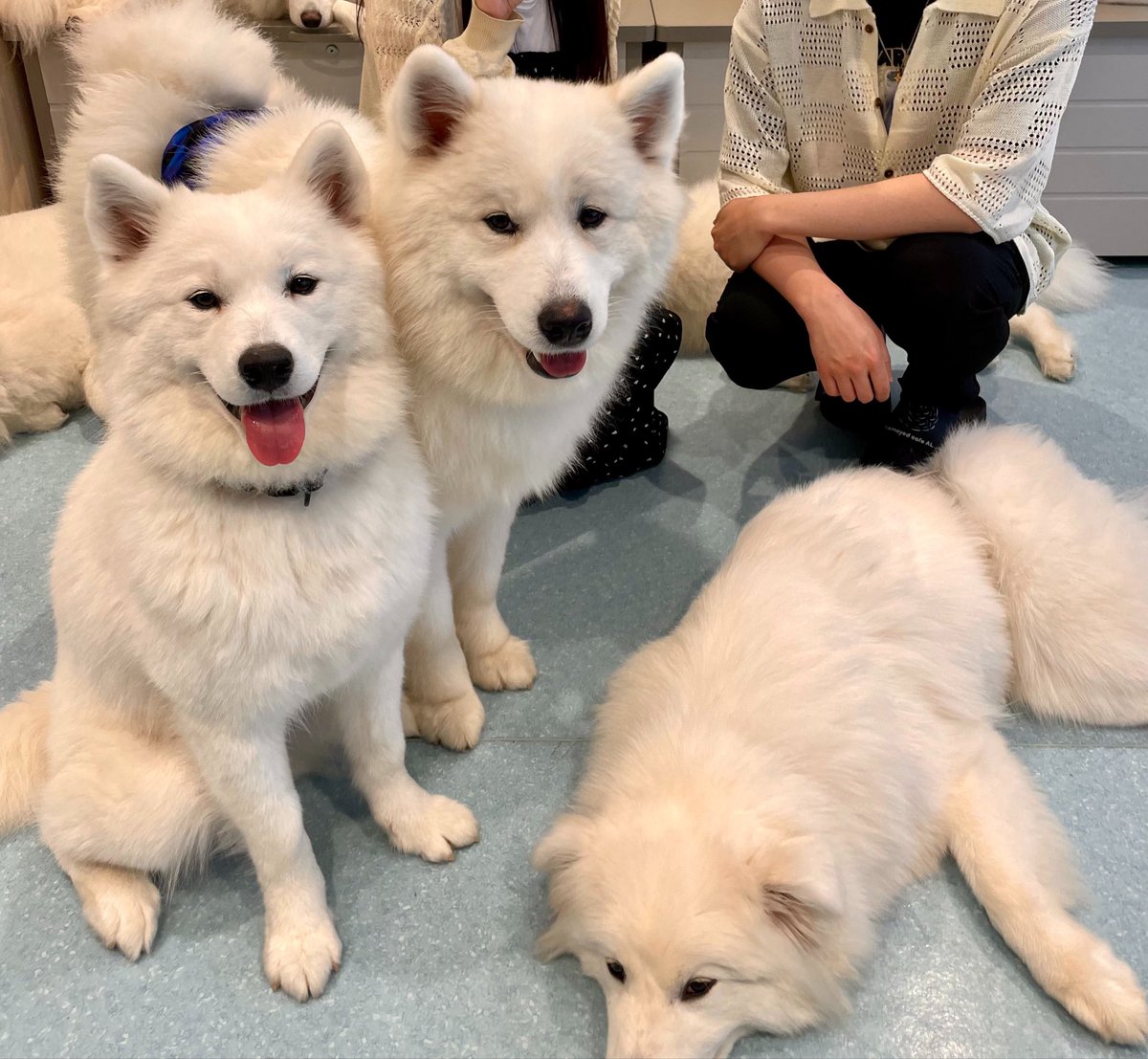 fullruna_2's tweet photo. 最近、休日が楽しいです✨ https://t.co/52u6TSilnZ