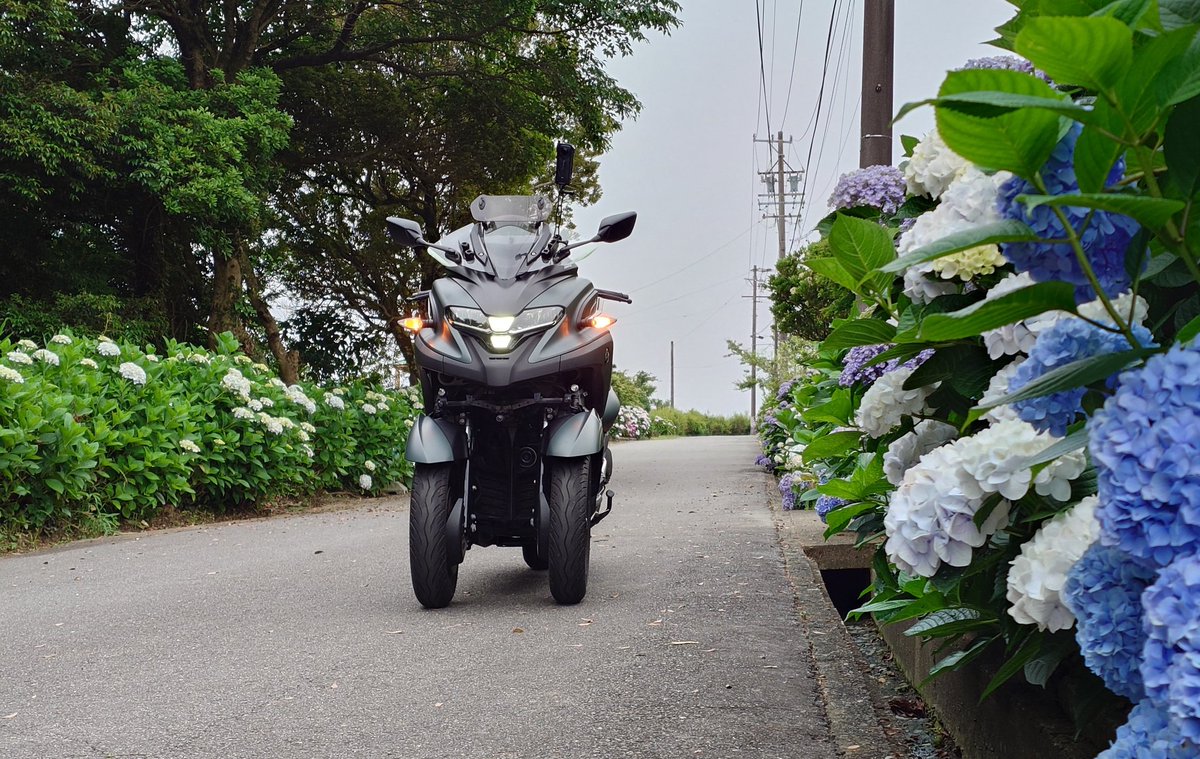 tdr225's tweet photo. 毎年恒例の #ツーキング 
梅雨入りしたので天気は微妙だけど、紫陽花は見頃でした。
動画も撮ったけど、見る余裕なし😅 https://t.co/S5CXoEDjTa