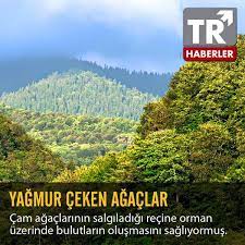 yusufcekic45's tweet photo. #asayiş #Pratik #zeka #pratik #düşünce #dünya #dünyabeştenbüyüktür #pratik #eksik #netice #bencillik #toplum #deneyim #hata #tasarruf #israf #güzel #fikir #gerçekler #adımlar #türkiye #erdoğan #söz #sözler #Eğitim #gelişim #PratikBilgiler #yardım #olan #olmayan #fakir https://t.co/MwhM89oUdK