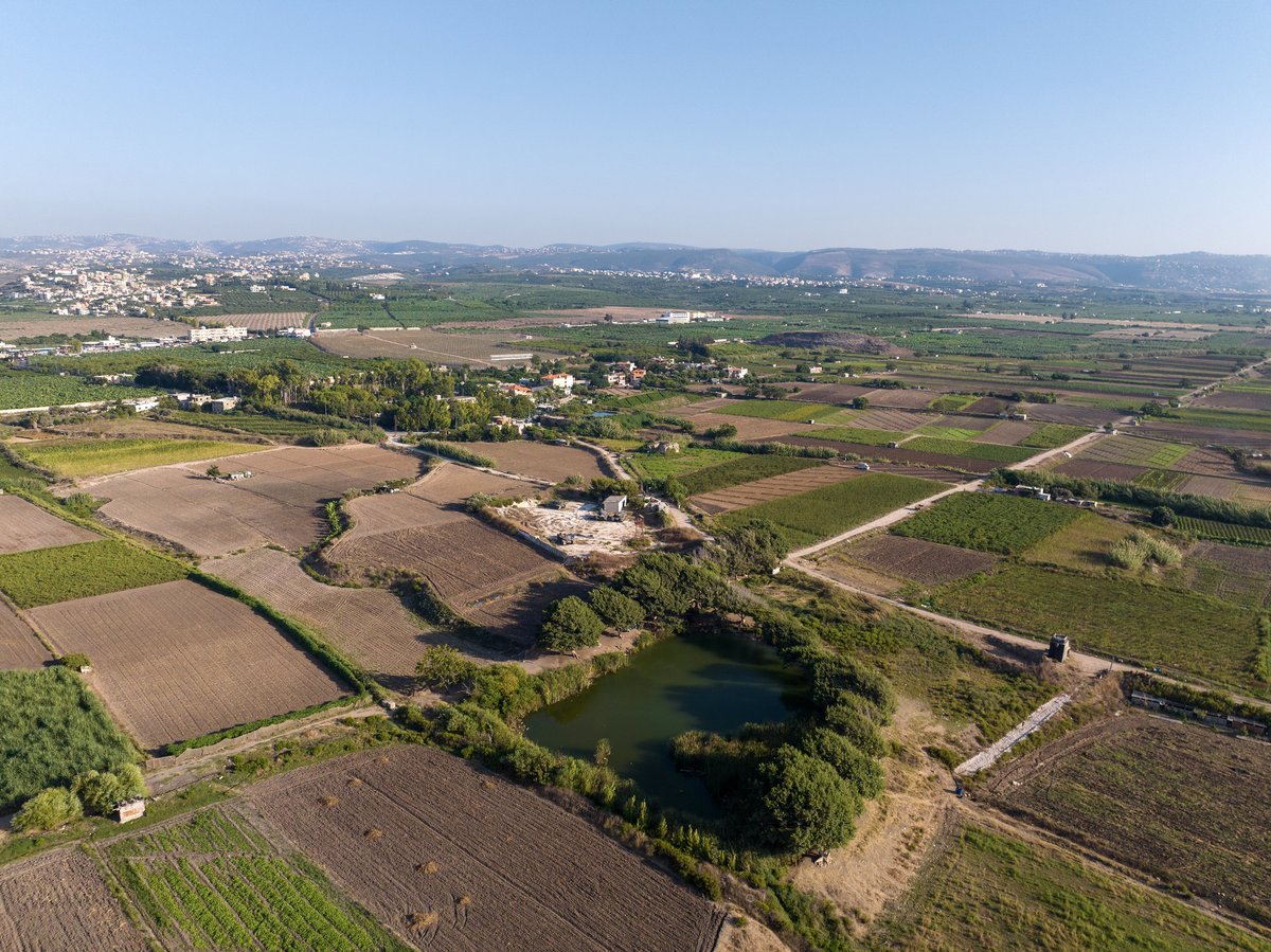 UNDPArabStates's tweet photo. Land degradation has been flagged as a serious environmental problem in Lebanon. 

On #DesertificationAndDroughtDay, learn how @UNDP_Lebanon is collaborating with @MoE_Lb_Official &amp; @theGEF to rehabilitate degraded land and prevent further degradation: https://t.co/q7BPDfafLz https://t.co/E0MCqLpU40