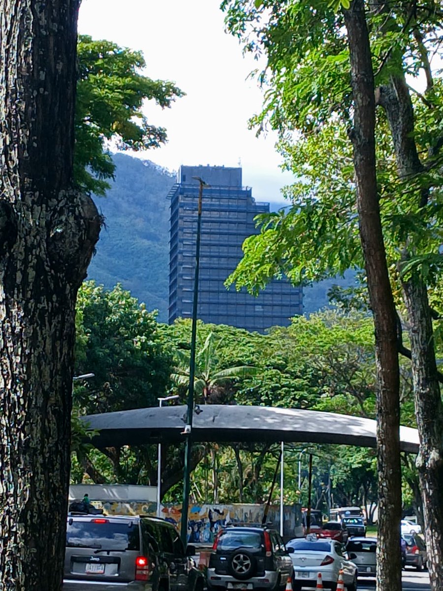 El_Cordoves's tweet photo. La Ciudad Universitaria después de la lluvia, verdecita... Caracas es un amor. https://t.co/Cf8wnJhrfh