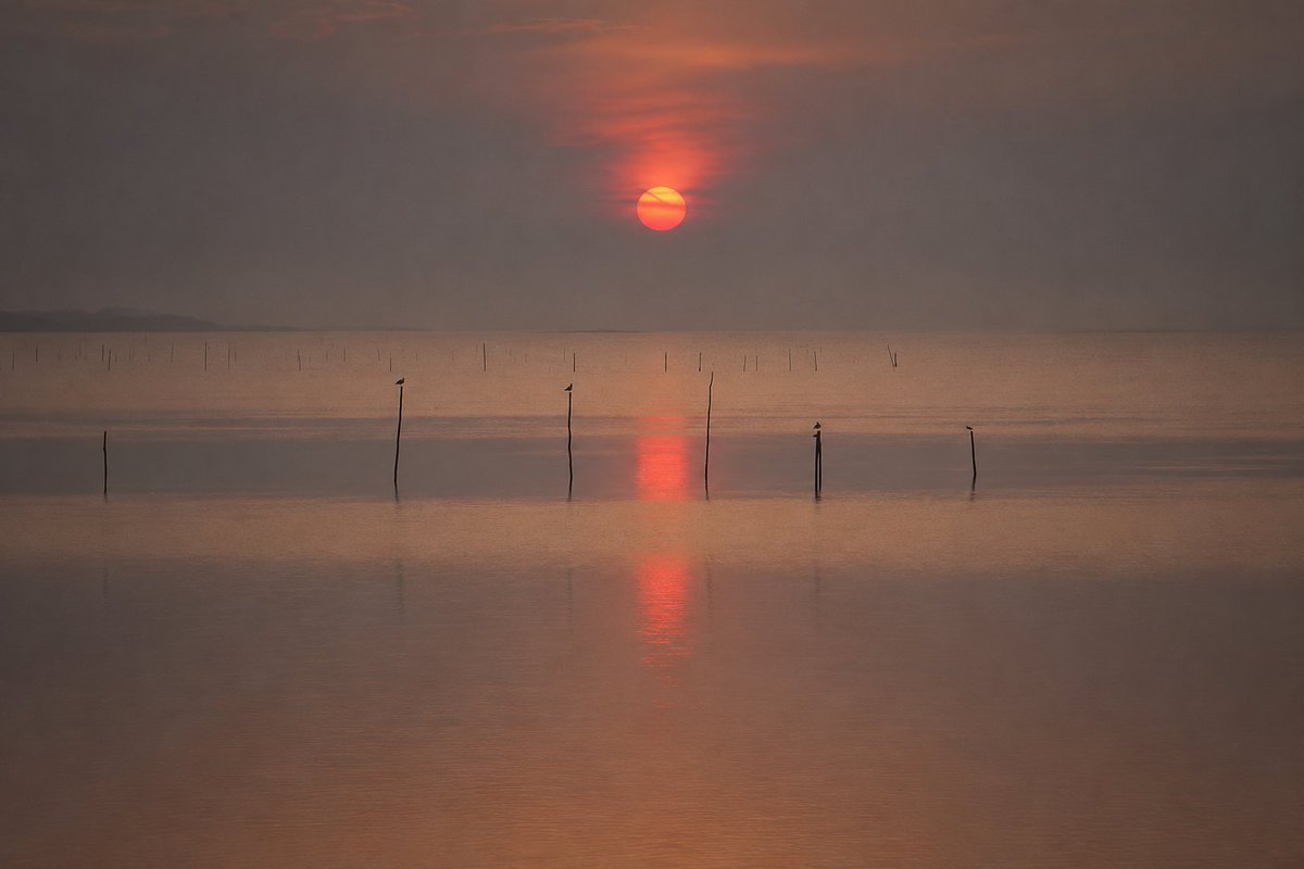Havenlust tweet picture